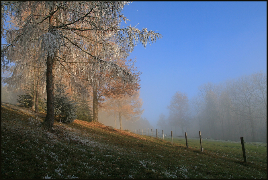 Herbststimmung