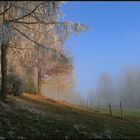 Herbststimmung