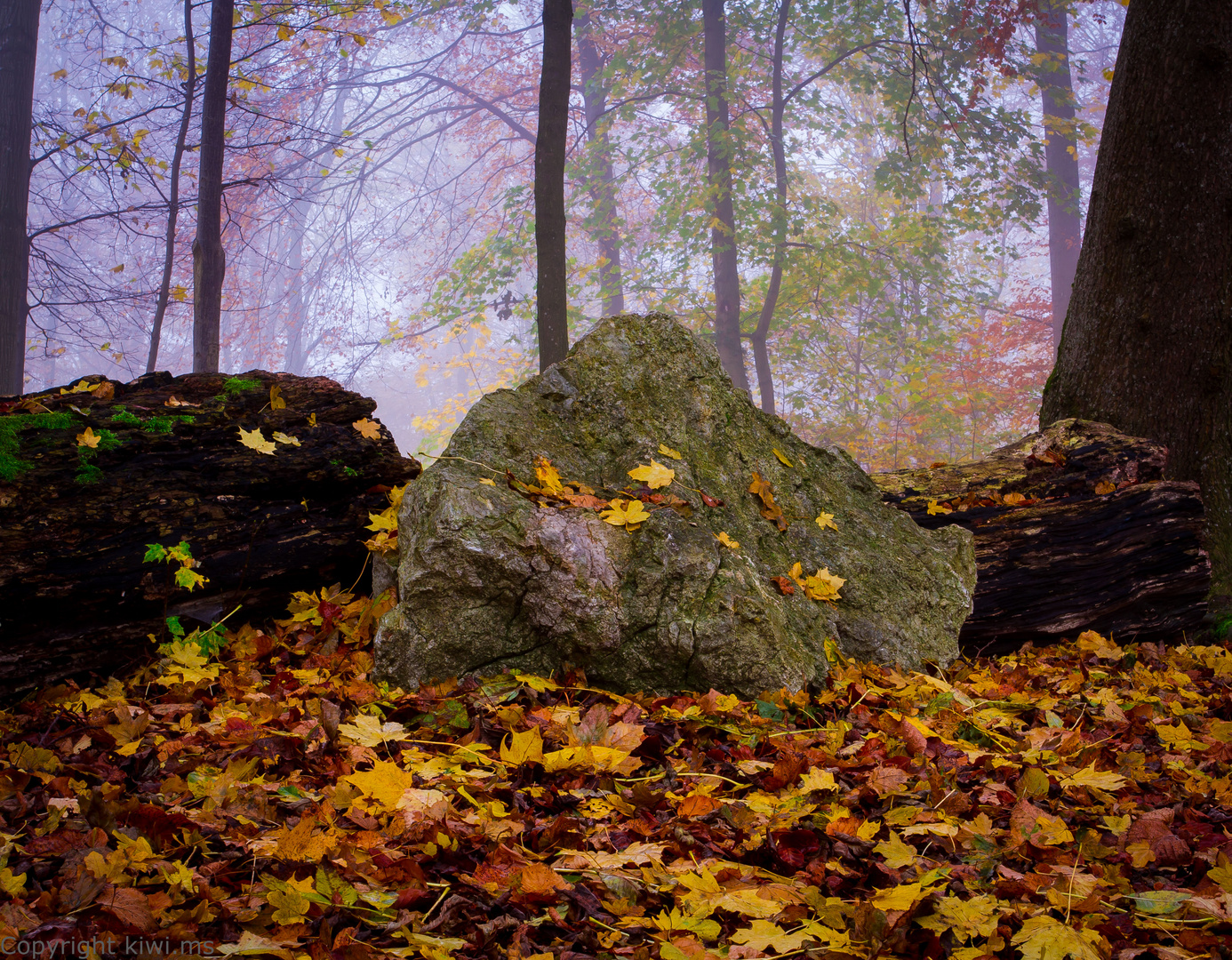 Herbststimmung