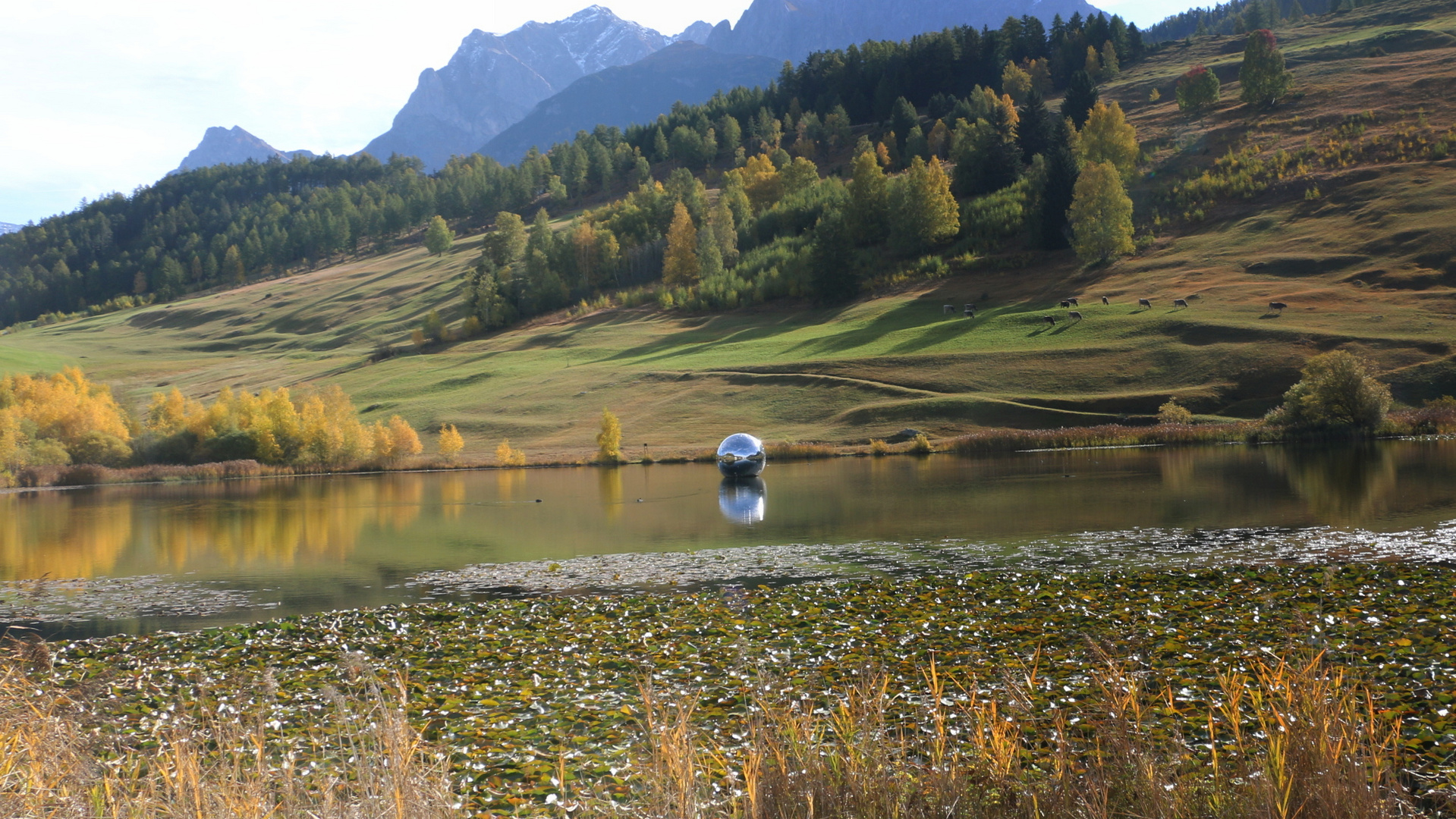 Herbststimmung 