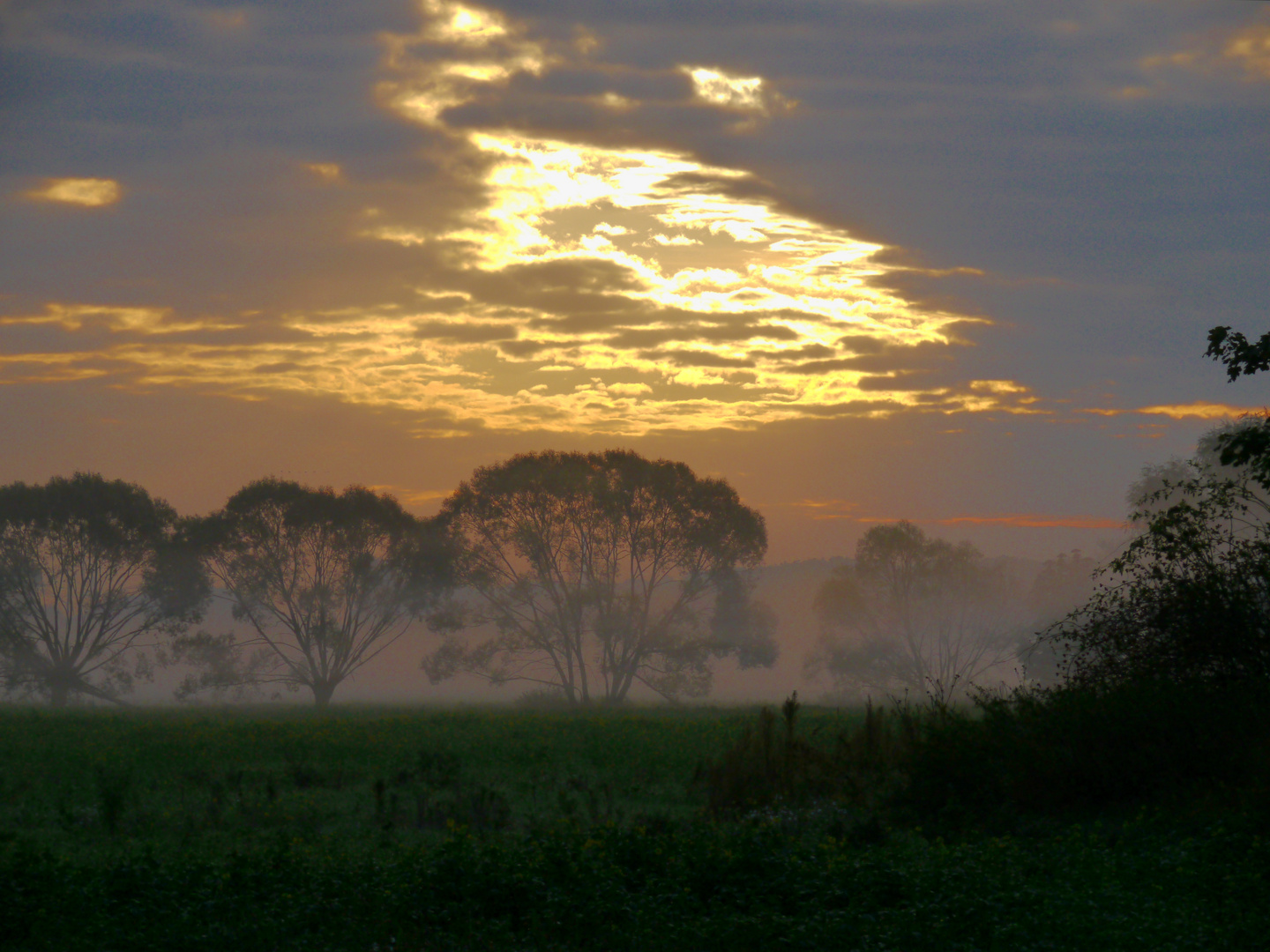 Herbststimmung