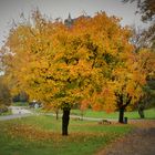 Herbststimmung