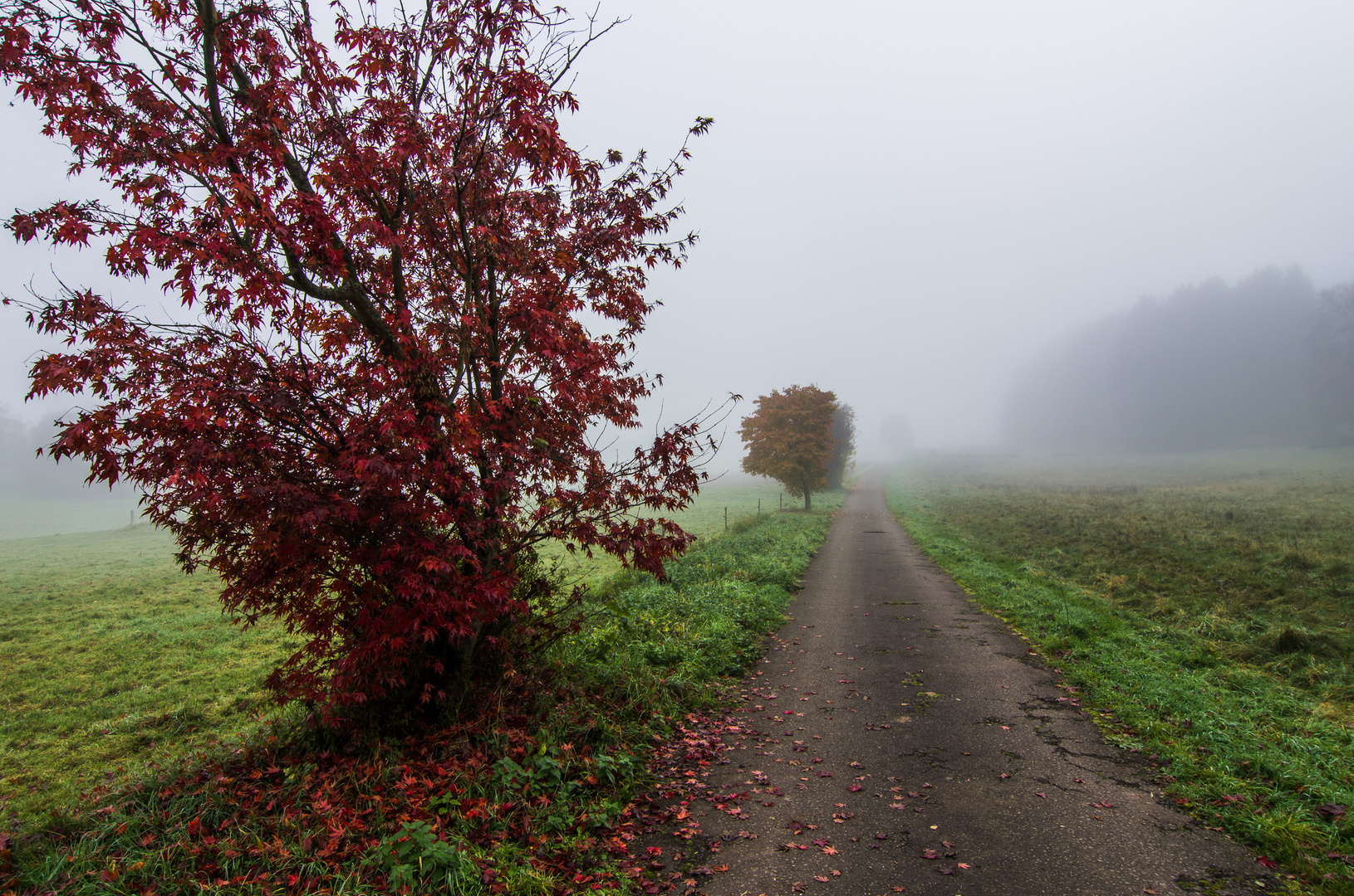 Herbststimmung