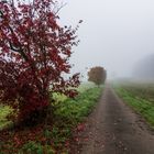 Herbststimmung