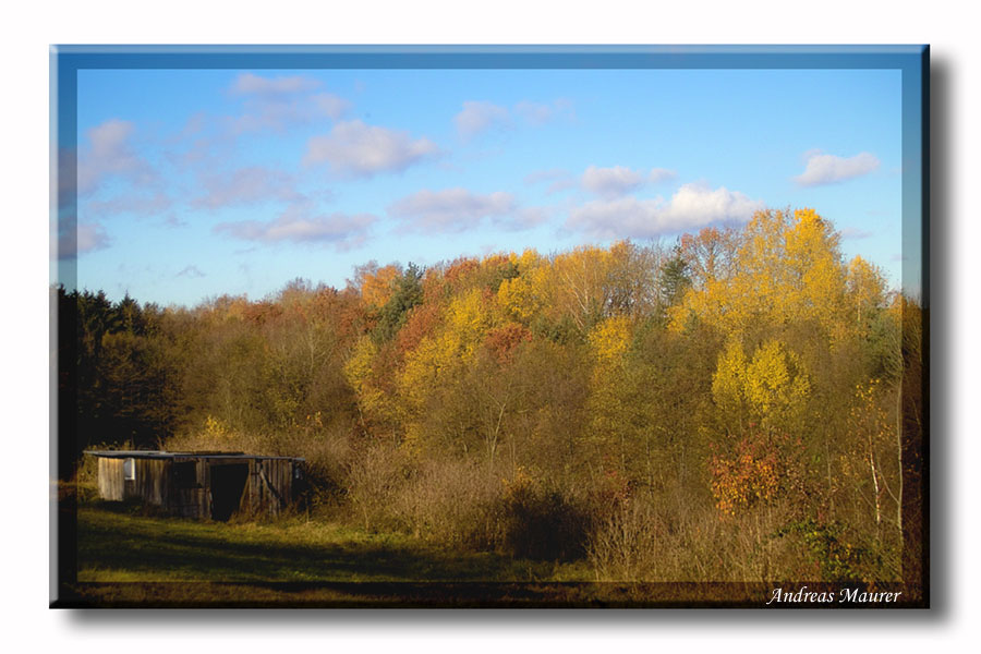 Herbststimmung