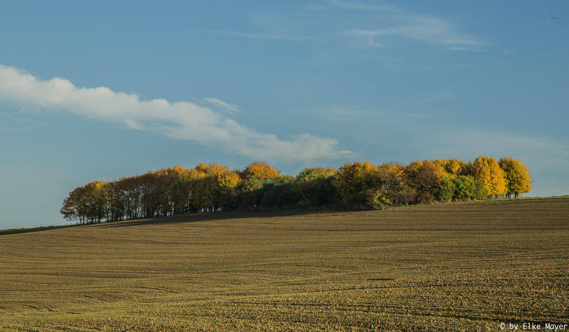 Herbststimmung