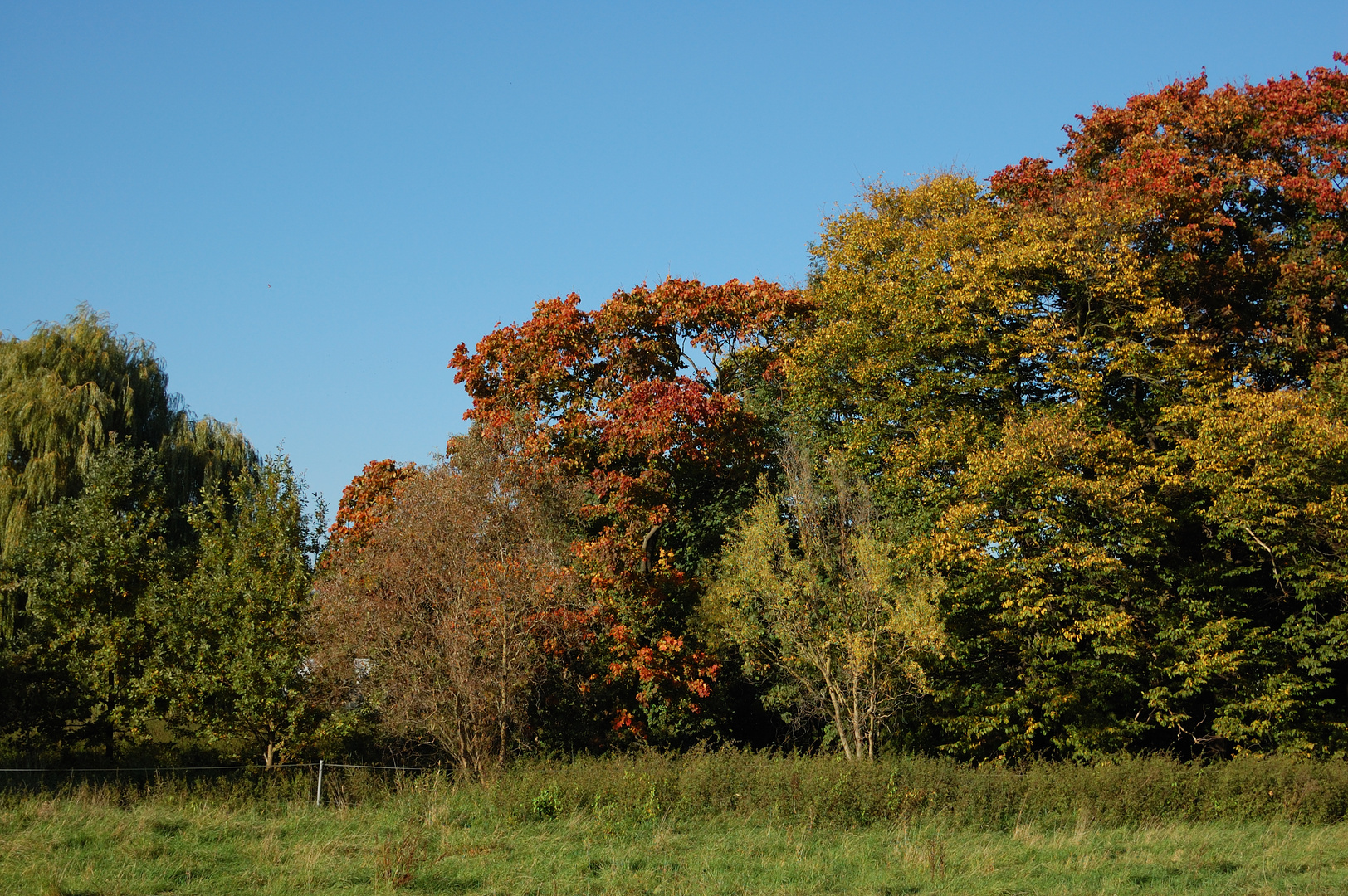 Herbststimmung