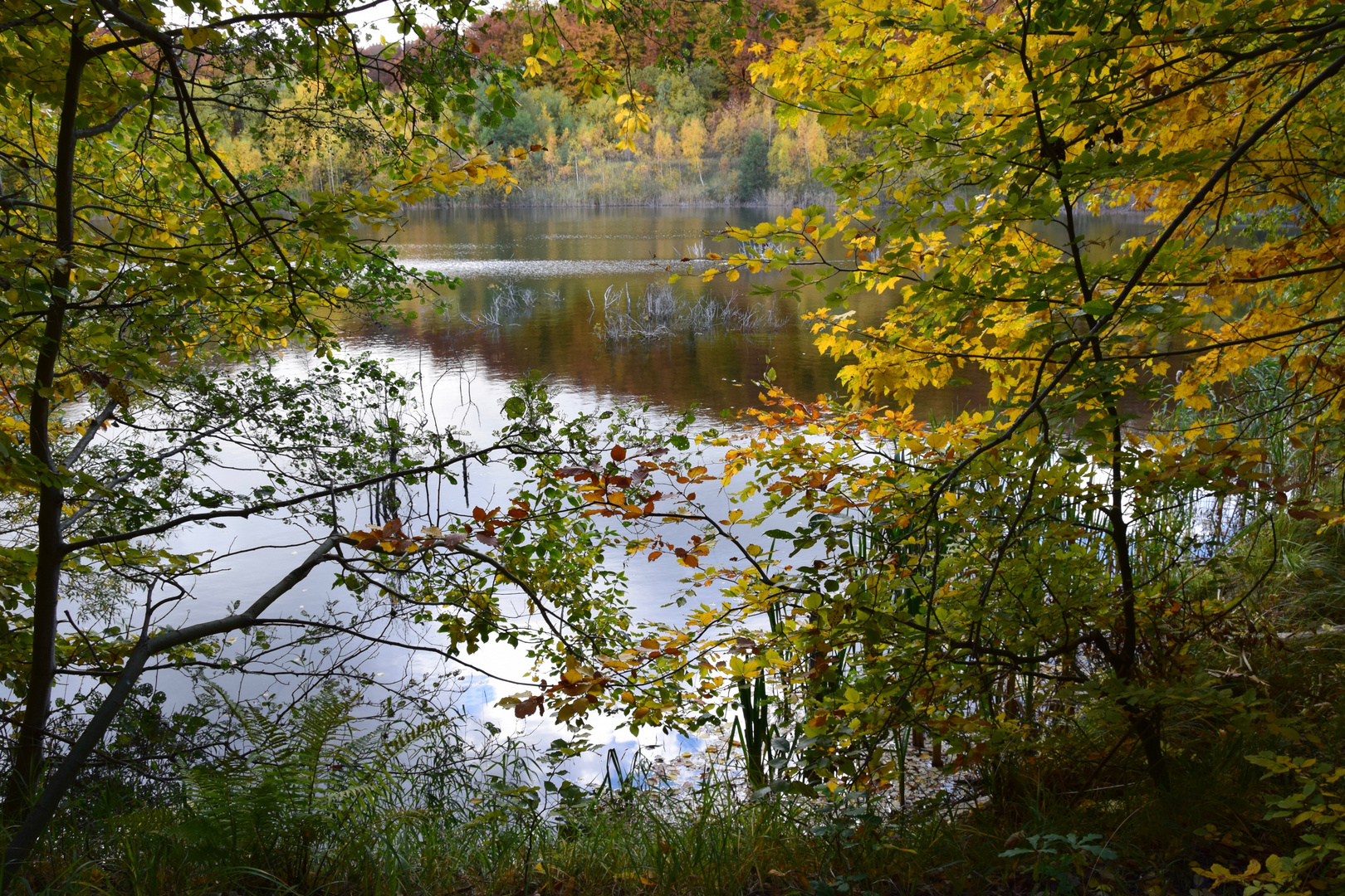 Herbststimmung