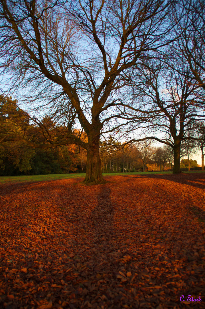 Herbststimmung