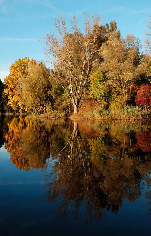 Herbststimmung