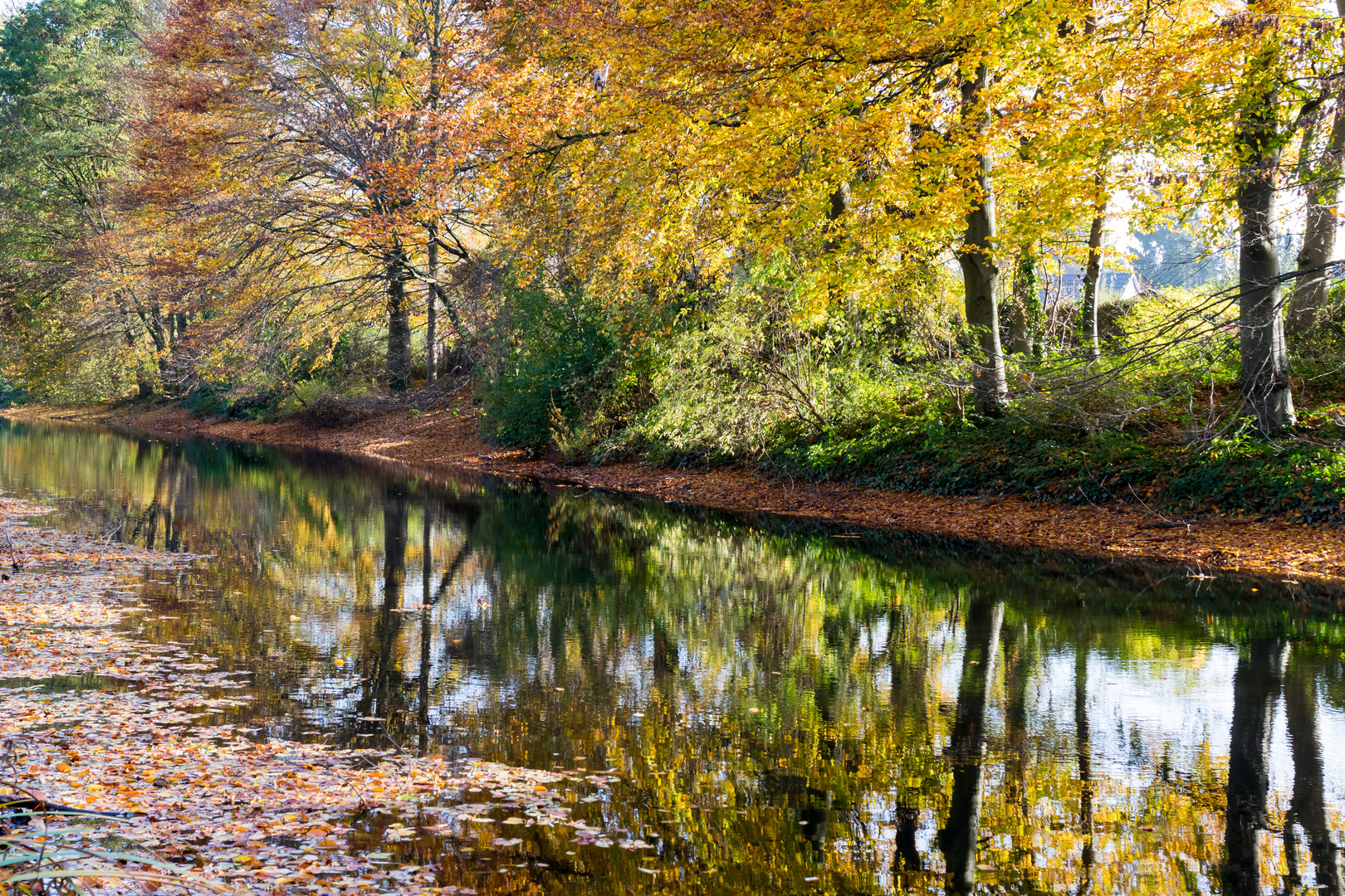 Herbststimmung