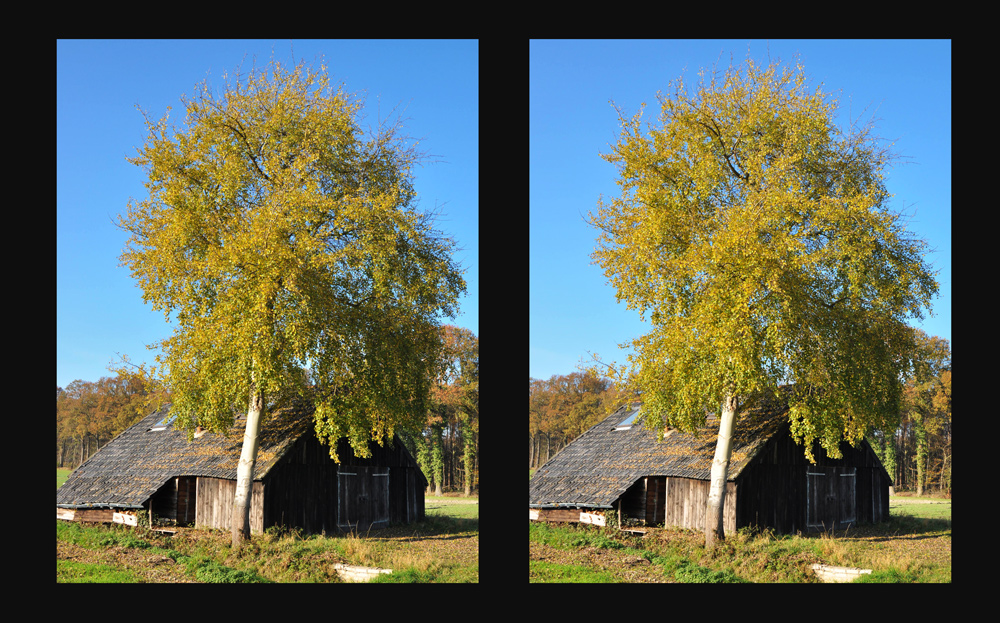 Herbststimmung [3D]