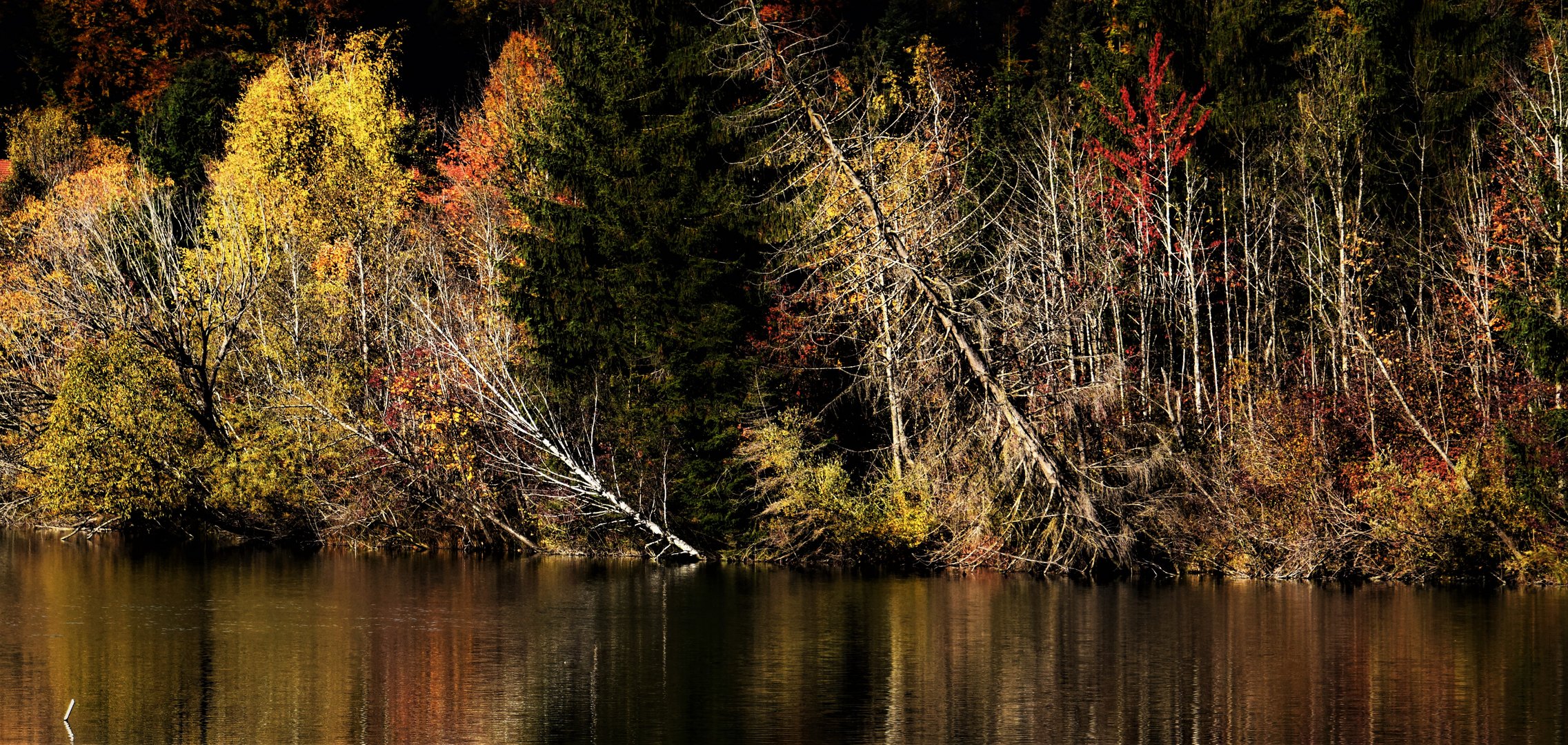 Herbststimmung