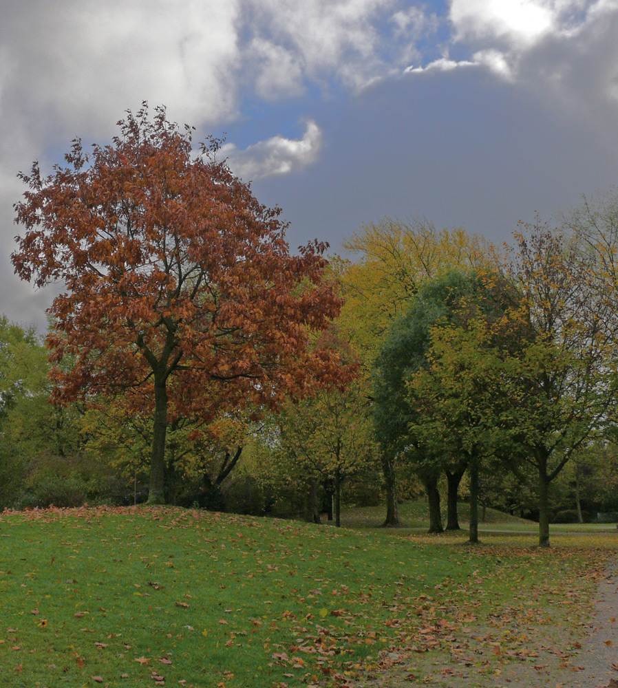 Herbststimmung