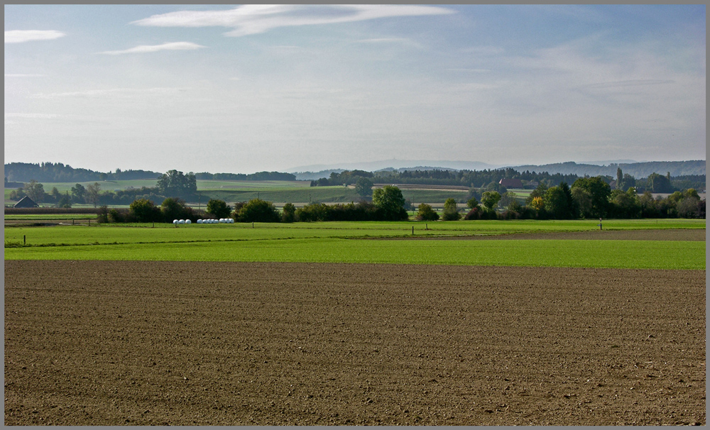 Herbststimmung