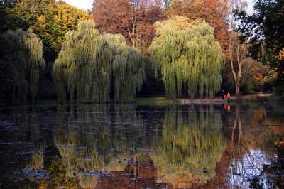 Herbststimmung von Sonja Braatz