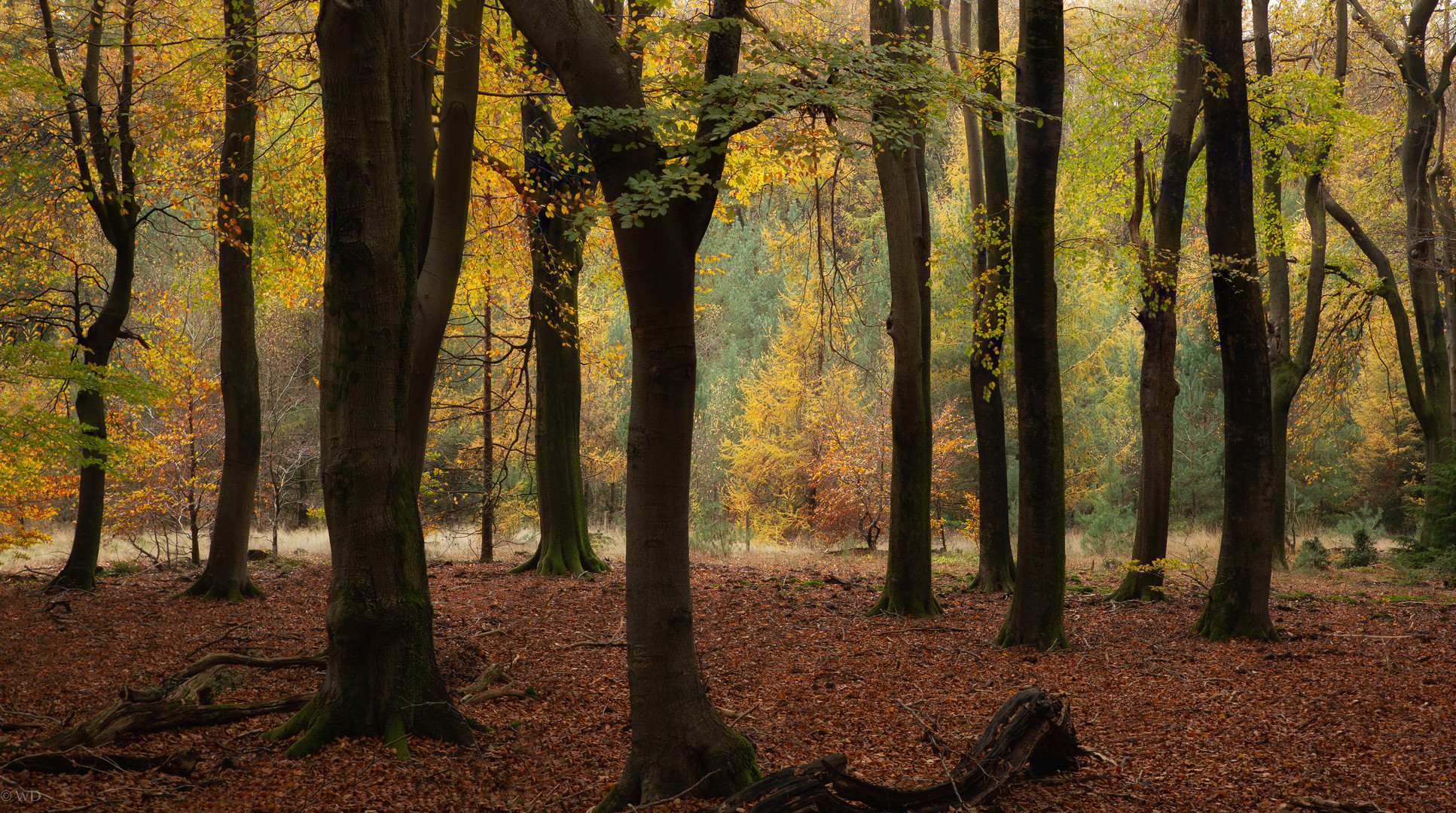 Herbststimmung 4