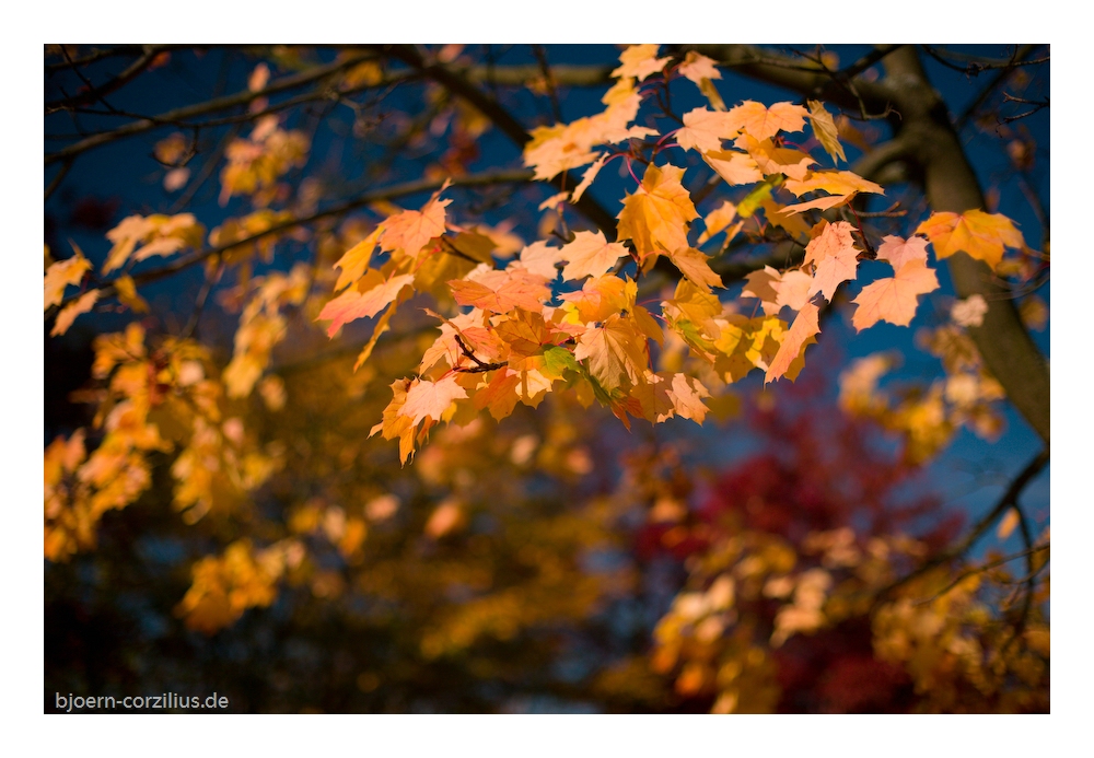 Herbststimmung 4