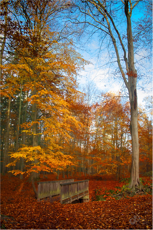 Herbststimmung