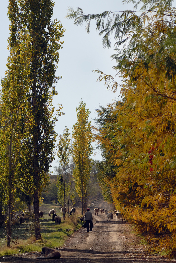 Herbststimmung