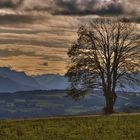 Herbststimmung