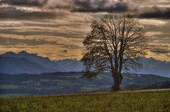 Herbststimmung