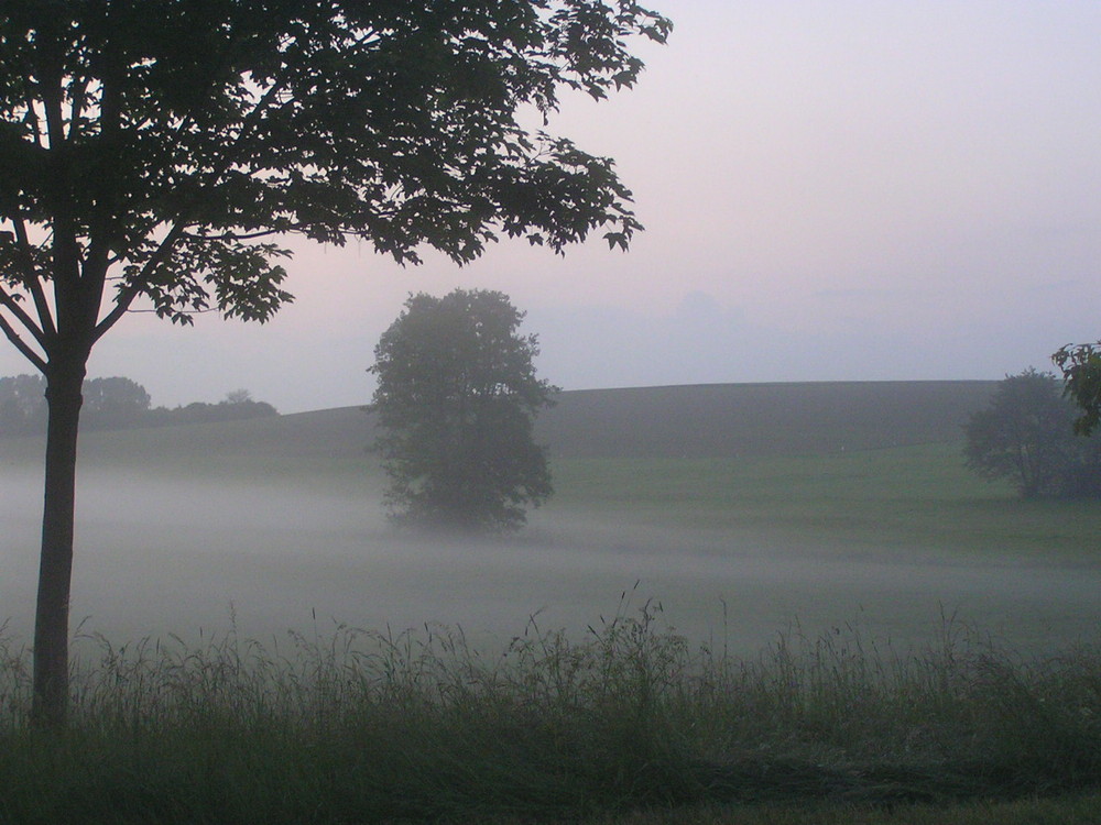 Herbststimmung