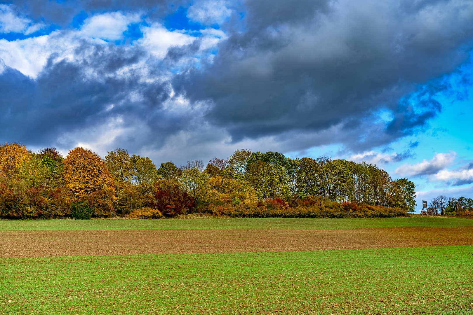 Herbststimmung