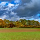 Herbststimmung