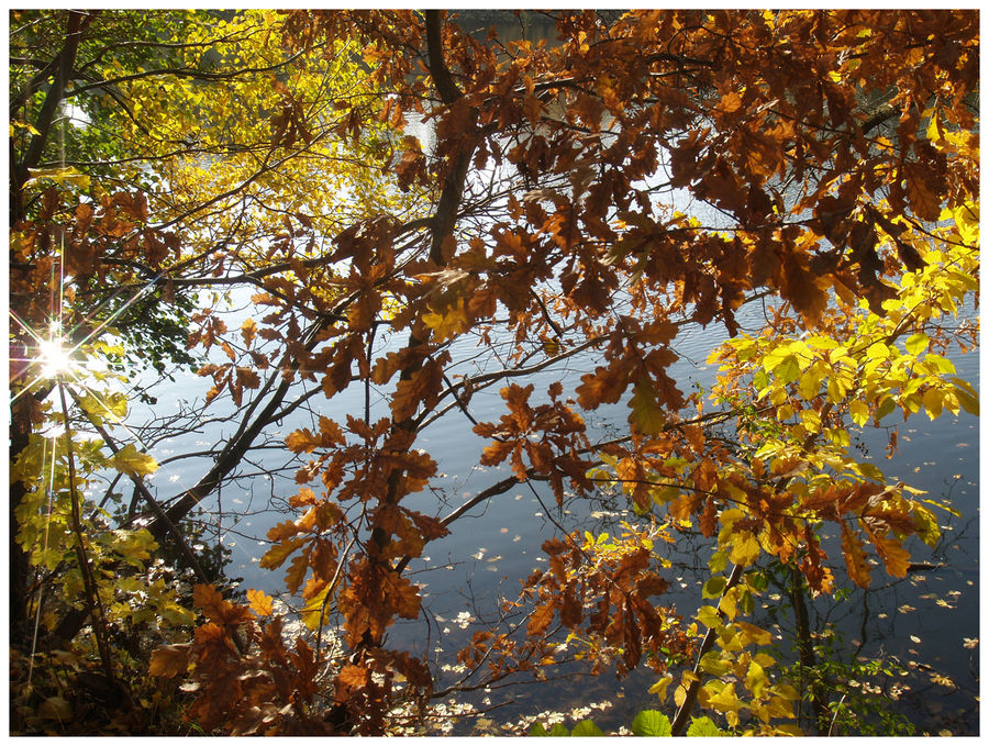 Herbststimmung