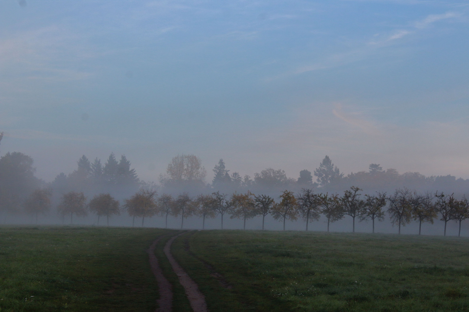 Herbststimmung