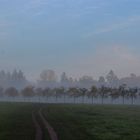 Herbststimmung