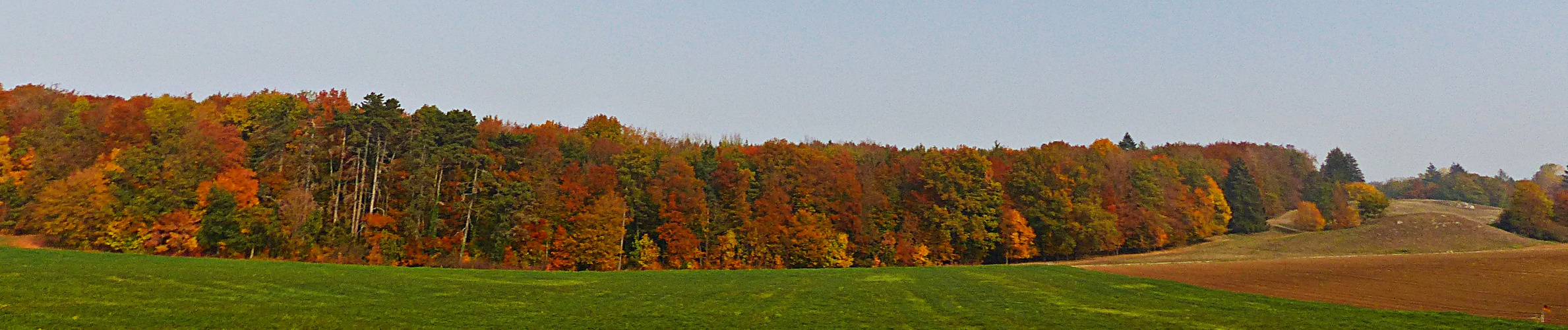 Herbststimmung