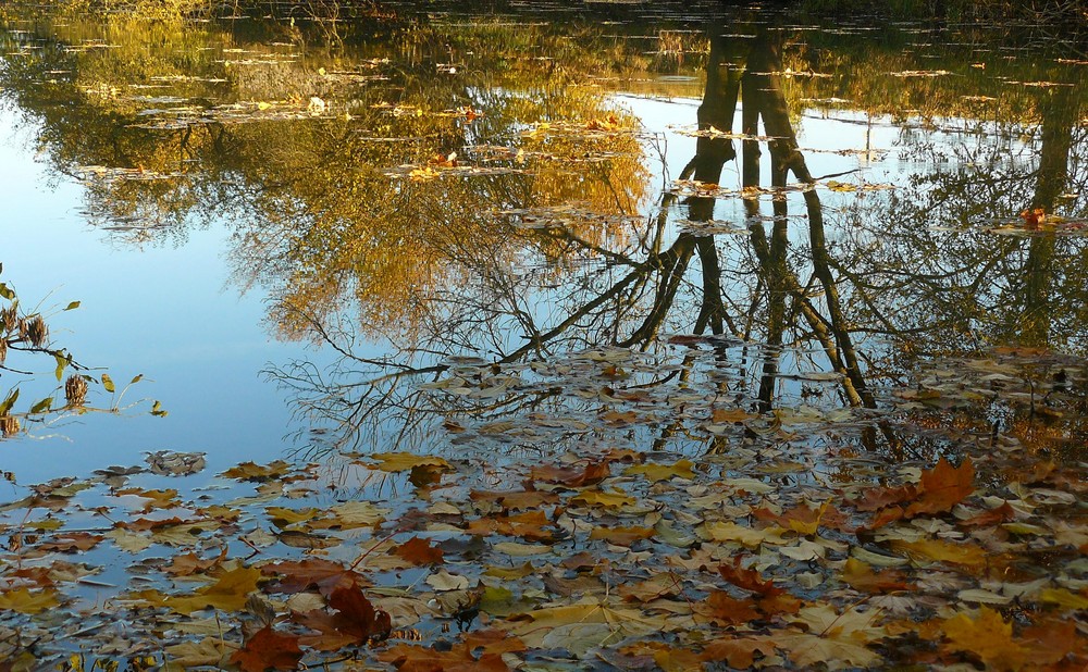 Herbststimmung