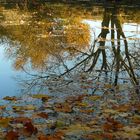 Herbststimmung