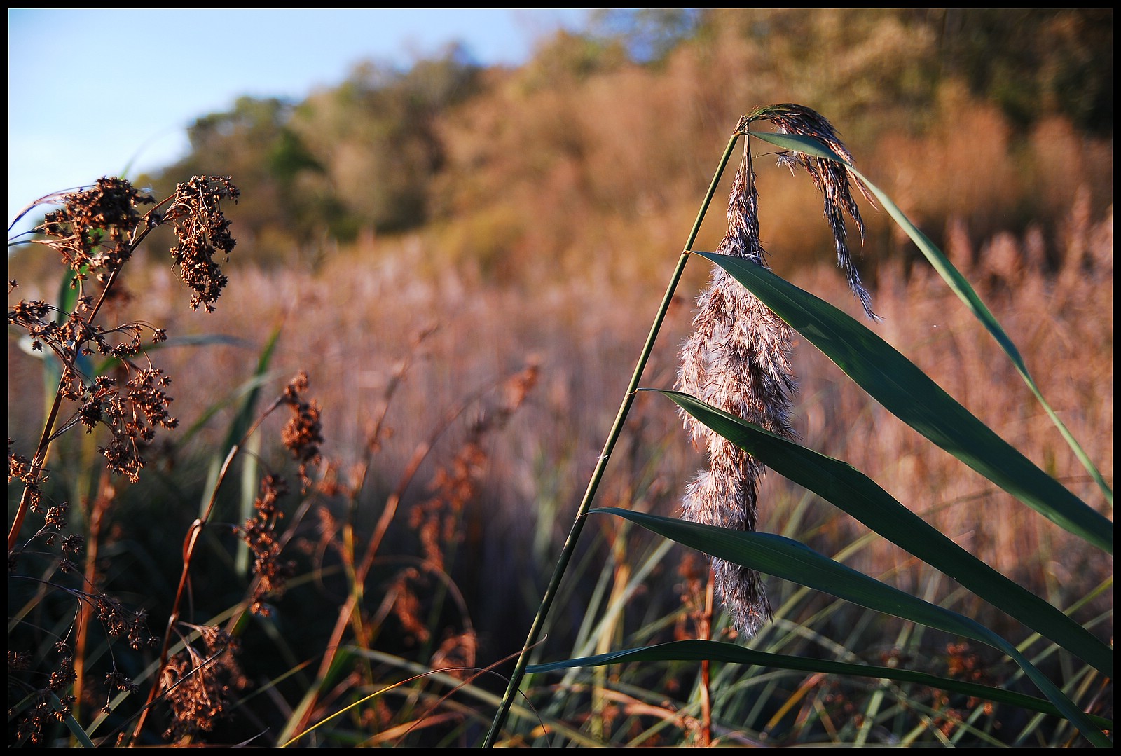 ...herbststimmung