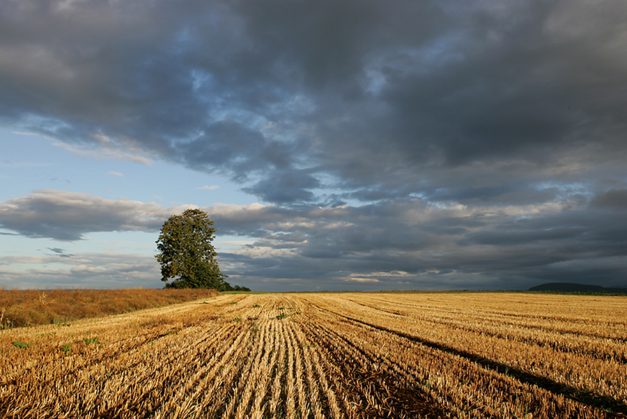 Herbststimmung