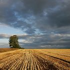 Herbststimmung