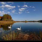 Herbststimmung...