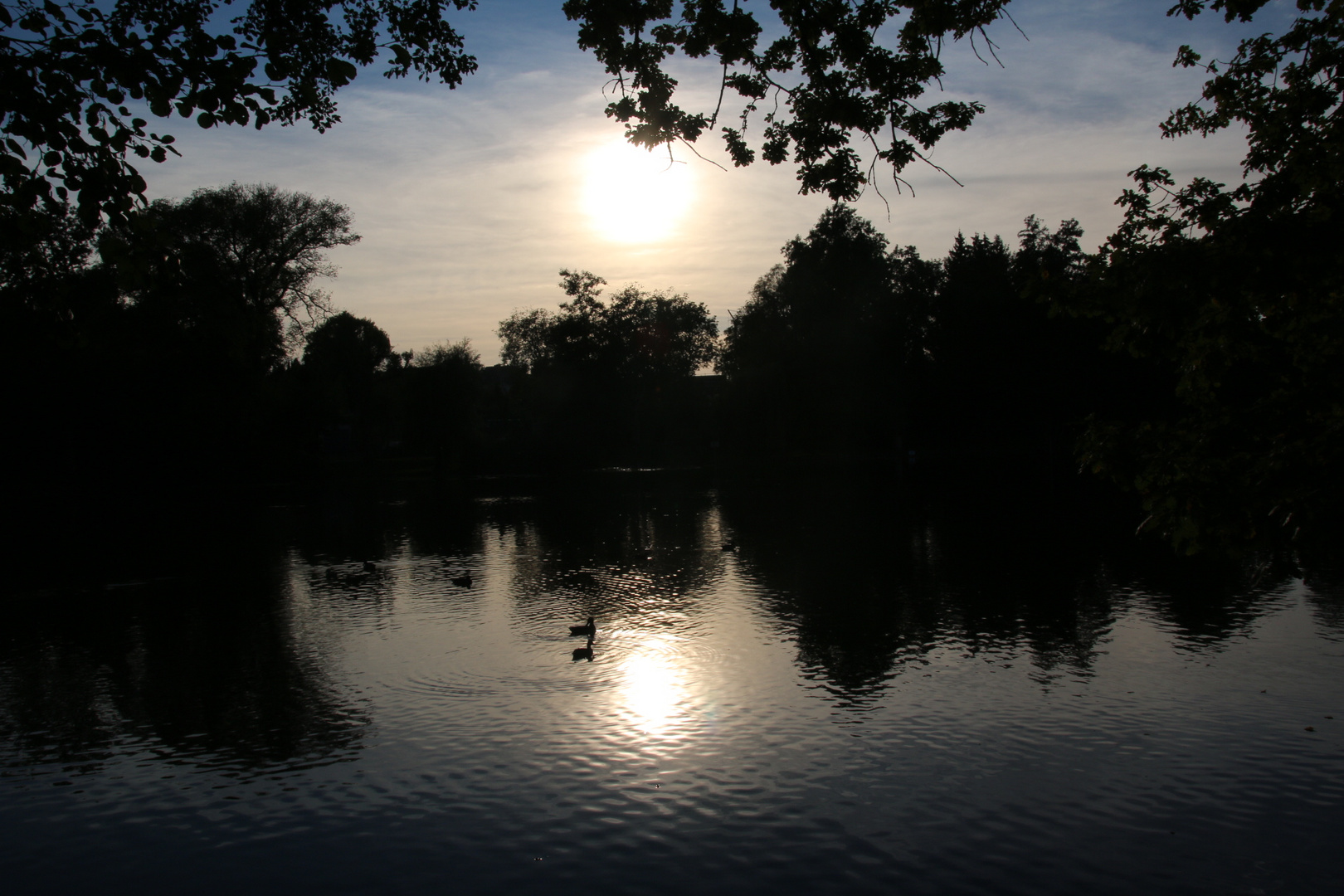 Herbststimmung