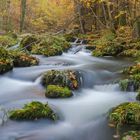 Herbststimmung