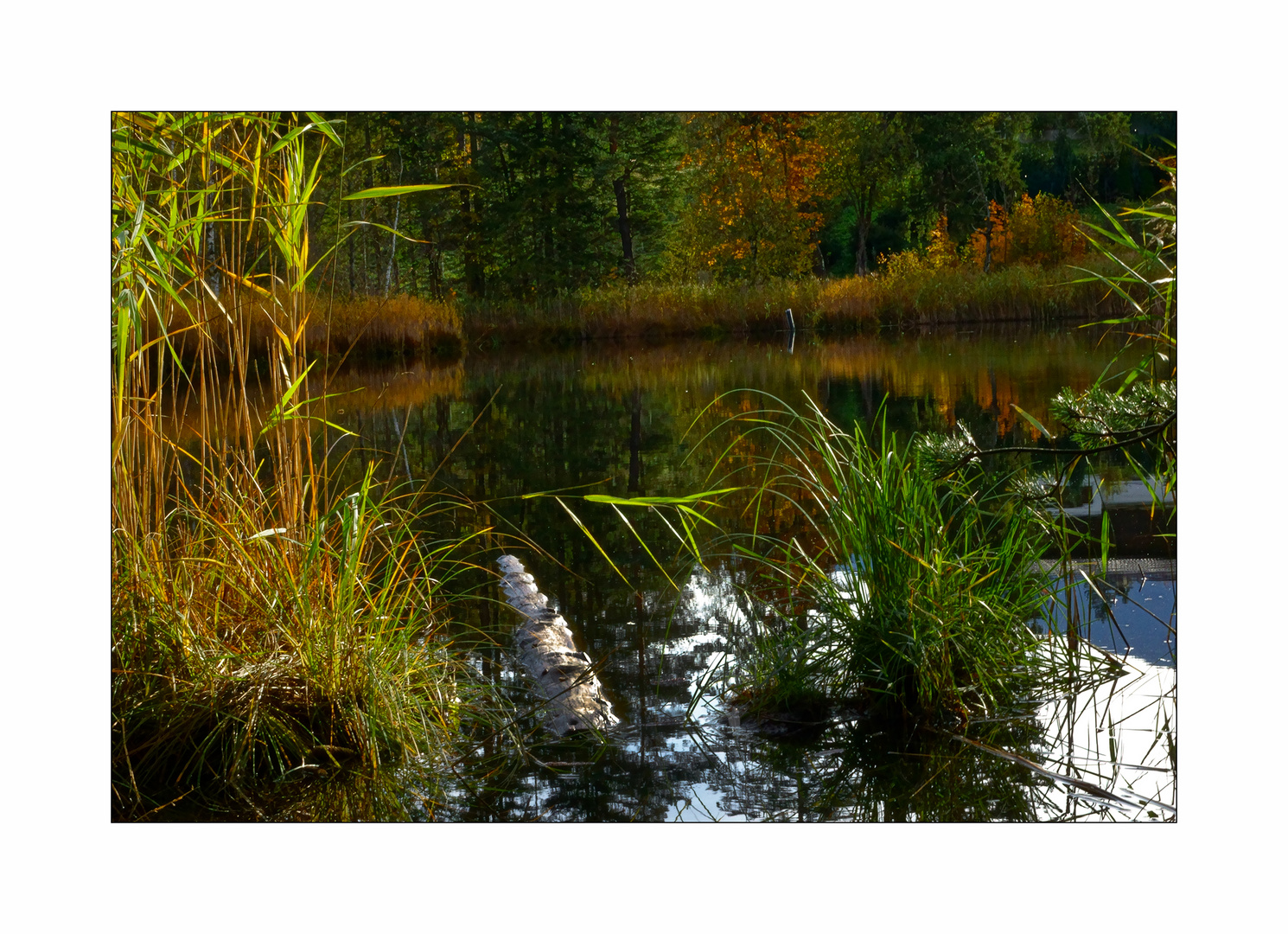 Herbststimmung