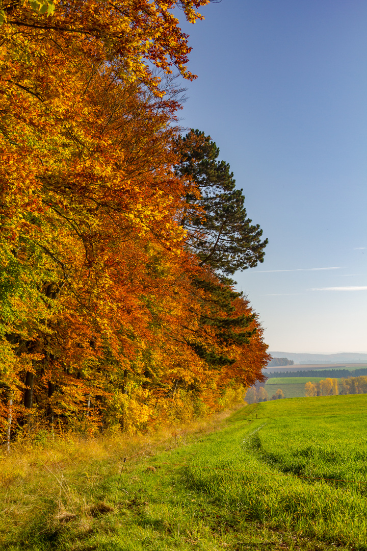 Herbststimmung