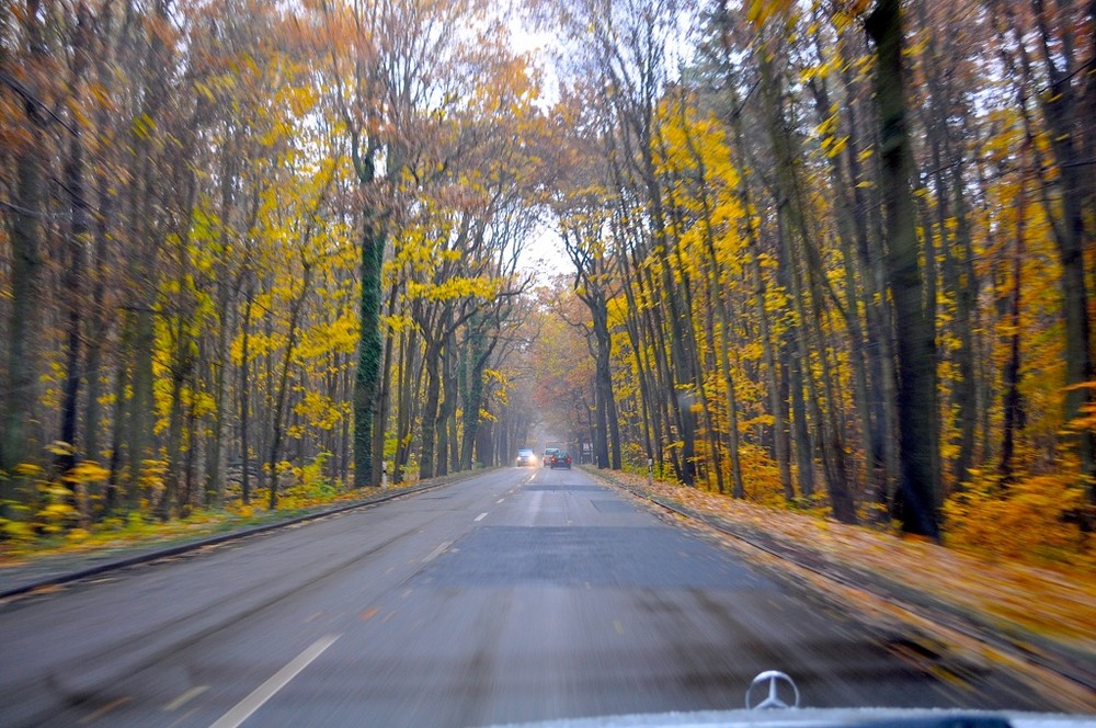 Herbststimmung