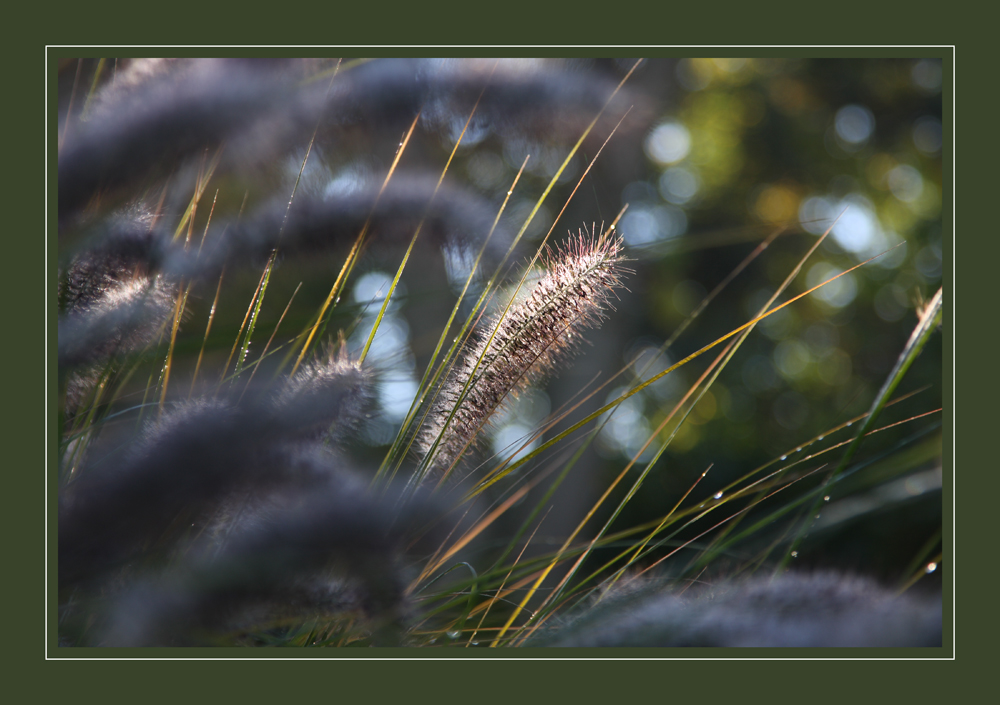 Herbststimmung