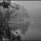 herbststimmung