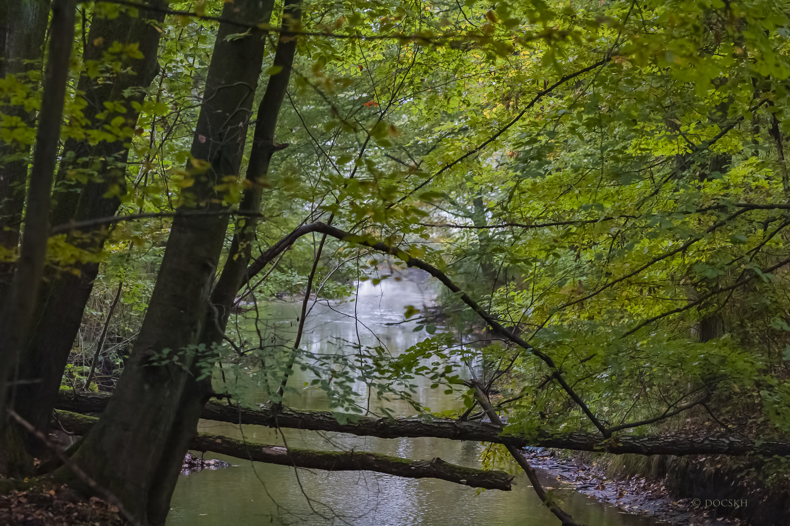 Herbststimmung