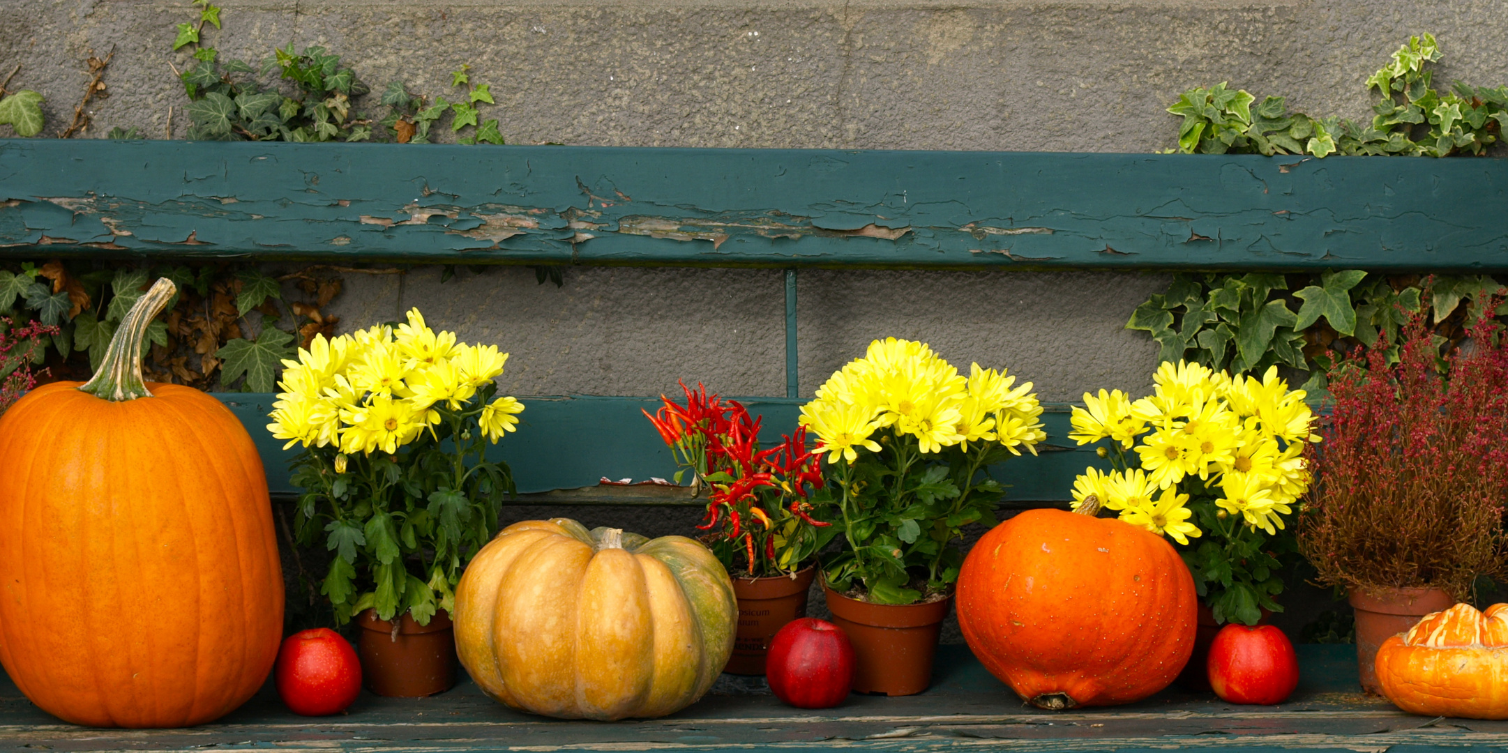 Herbststimmung