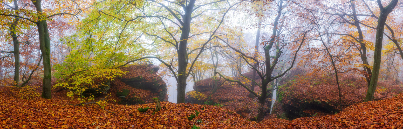 Herbststimmung