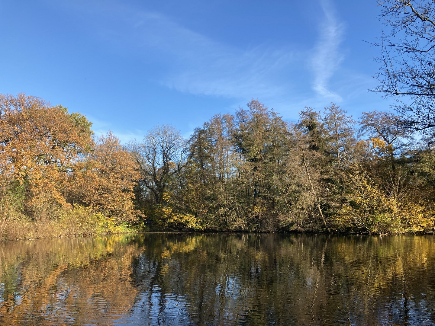 Herbststimmung